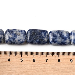 Natural Blue Spot Jasper Beads Strands&nbsp;G-S386-A05