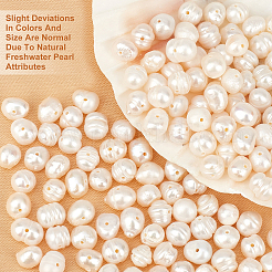 2 Strands Grade B Natural Cultured Freshwater Pearl Beads Strands&nbsp;PEAR-BBC0001-06
