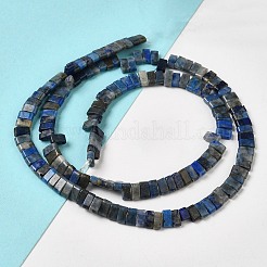 Natural Lapis Lazuli Beads Strands&nbsp;G-Z045-A11-01