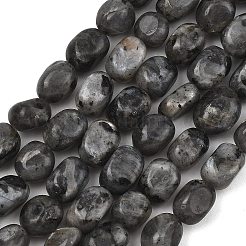 Natural Larvikite Beads Strands&nbsp;GG-C286-A28