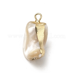 Natural Trochus Shell Pendants&nbsp;BSHE-E025-04LG