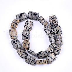 Natural Dalmatian Jasper Beads Strands&nbsp;G-T121-16