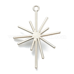 Alloy Pendants&nbsp;PALLOY-E580-05P