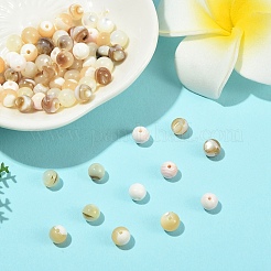 100Pcs 5 Styles Natural White Shell & Trochid Shell & Freshwater Shell Beads&nbsp;SSHEL-YW0001-17