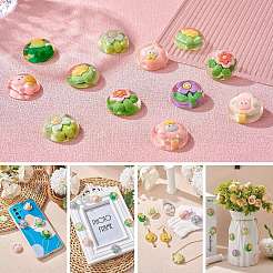20Pcs 10 Styles Transparent Resin Cabochons&nbsp;CRES-SZ0001-37