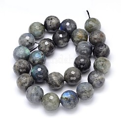 Natural Labradorite Round Bead Strands&nbsp;G-O094-06-16mm