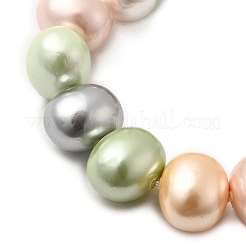 Shell Pearl Beads Strands&nbsp;BSHE-F013-01H
