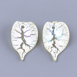 Acrylic Pendants&nbsp;CACR-Q034-10C