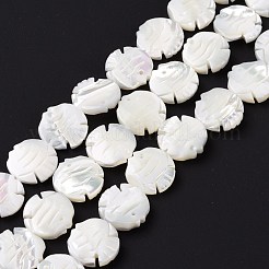 Natural Trochid Shell Beads Strands&nbsp;SSHEL-G023-16B