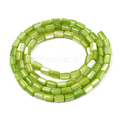 Natural Trochid Shell/Trochus Shell Beads Strands&nbsp;SHEL-N003-26-B07