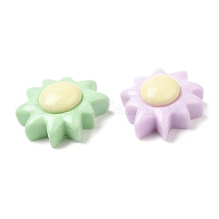 Cartoon Opaque Resin Cabochons&nbsp;RESI-C039-02D