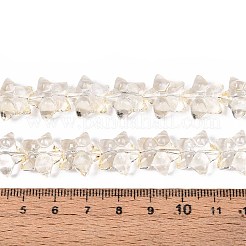 Baking Paint Glass Beads Strands&nbsp;DGLA-N017-01G