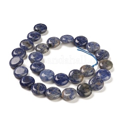 Natural Sodalite Beads Strands&nbsp;G-M403-C11