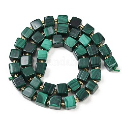 Natural Malachite Beads Strands&nbsp;G-G053-B25-01