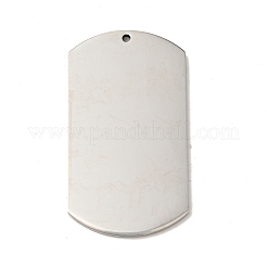 Non-Tarnish Pride 201 Stainless Steel Big Pendants&nbsp;LS-STAS-J041-05B