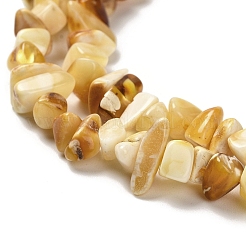 Natural Amber Beads Strands&nbsp;G-L095-N01-03