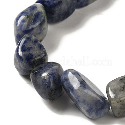 Natural Blue Spot Jasper Beads Strands&nbsp;G-B078-D33-04