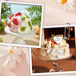 21Pcs 3 Styles Mirror Effect Acrylic Birthday Cupcake Insert Card Decoration&nbsp;AJEW-SP0001-66A