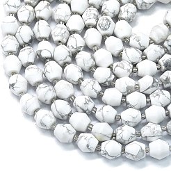 Natural Howlite Beads Strands&nbsp;G-K389-D20-01