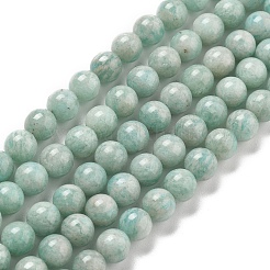 Natural Amazonite Beads Strands&nbsp;G-L618-A01-6mm