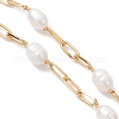 Natural Freshwater Pearl Rice and Brass Paperclip Chain Bracelet Making&nbsp;AJEW-JB01457