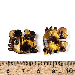 Transparent Acrylic Beads&nbsp;TACR-T029-19