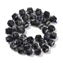 Natural Larvikite Beads Strands&nbsp;G-B125-O05-01