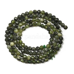 Natural Canadian Jade Beads Strands&nbsp;G-C281-A01-3mm