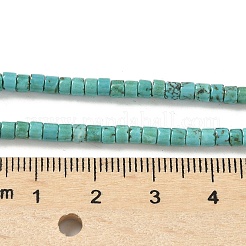 Dyed Natural Magnesite Beads Strands&nbsp;G-M448-C01-01