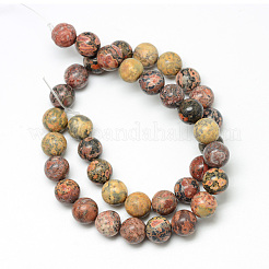 Natural Leopard Skin Jasper Bead Strands&nbsp;G-R345-8mm-30