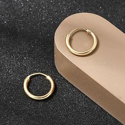 Brass Hoop Earrings&nbsp;EJEW-G474-01G-01