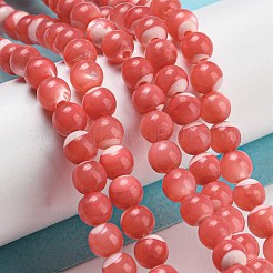 Dyed Natural Trochus Shell Beads Strands&nbsp;BSHE-G034-25B