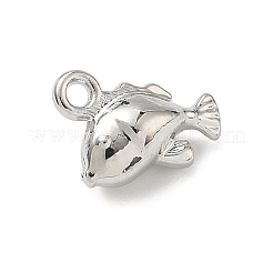 Alloy Charms&nbsp;FIND-Z101-04P-03