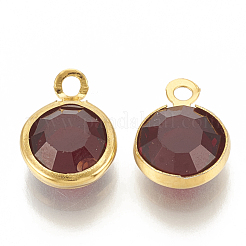 Glass Charms&nbsp;GLAA-S171-001