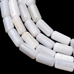 Natural Freshwater Shell Beads Strands&nbsp;SH-CBA2978-21B