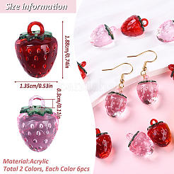 12Pcs 2 Colors Transparent Korea Acrylic Pendants&nbsp;OACR-YW0002-10