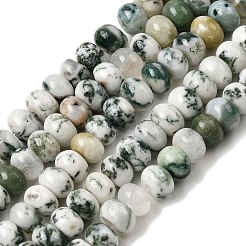 Natural Tree Agate Beads Strands&nbsp;G-A280-A04-01