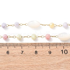 Glass Round Beads & Natural Shell Barrel Beads Link Bracelets&nbsp;BJEW-G774-03G