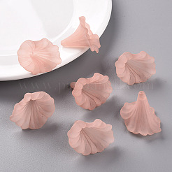 Transparent Acrylic Beads&nbsp;BSF796-C11