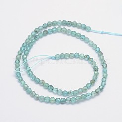 Faceted Round Natural Apatite Bead Strands&nbsp;G-I156-05
