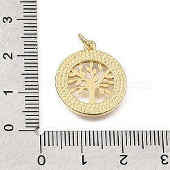Brass Micro Pave Clear Cubic Zirconia Pendants&nbsp;CU-CBAF50C-15G