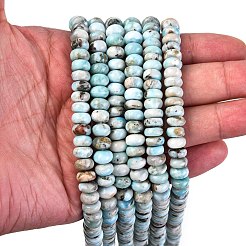 Natural Larimar Beads Strands&nbsp;G-H004-A01-02