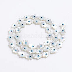 Natural White Shell Mother of Pearl Shell Beads&nbsp;SSHEL-L017-005B