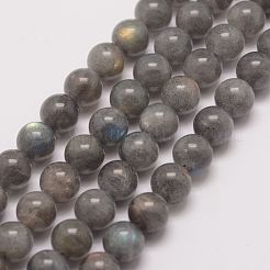 Natural Labradorite Bead Strands&nbsp;G-P259-03-6mm