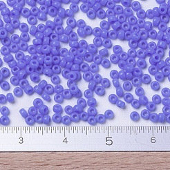 MIYUKI Round Rocailles Beads&nbsp;X-SEED-G007-RR0417L