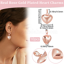 10Pcs Eco-Friendly Rack Plating Brass Pendants&nbsp;KK-BBC0023-78RG
