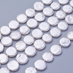 Shell Pearl Beads Strands&nbsp;X-BSHE-P030-01C
