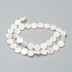 Natural Freshwater Shell Beads&nbsp;BSHE-I011-01E-02