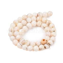 Natural Freshwater Shell Beads Strands&nbsp;SHEL-T011-02-8mm