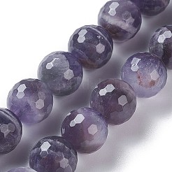 Natural Chevron Amethyst Beads Strands&nbsp;G-P428-04B-10mm